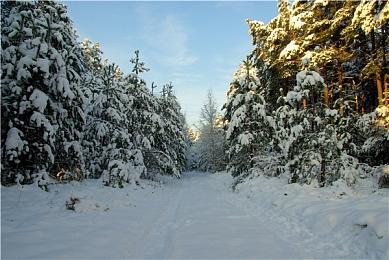 10分钟视频展示《最终幻想16》几大召唤兽技能